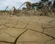 Climate Crisis: Earth's Future Not at Stake, Humanity's Is, Experts Warn