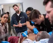 Competency Porn: Why Watching People Excel at Work is 2026's Top Escape