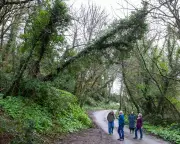 Cornwall's Storm Goretti Fallout: Broadband Outages Spark Infrastructure and Devolution Debate