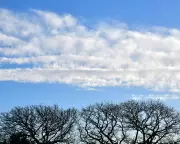 Country Diary: A Frozen Morning in Ceredigion After the Storm