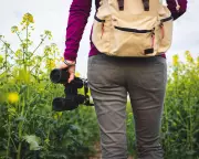 Crowborough's Unique Summit: A Marilyn Hill in a Front Garden