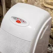 Dehumidifier Warning: Why Your Gadget May Not Fix Damp Homes