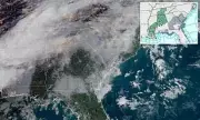 Dense 'Radiation Fog' Blankets US Southeast, Disrupting Travel for Millions