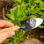 Ditch Baking Soda for Cakes, Use It in Your Garden This January