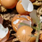 Don't Bin Your Eggshells This January: A Gardener's Secret Revealed