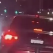 Driver Charged After Dragging Dogs Behind Car in New York