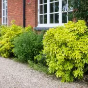 Driveway Rules: UK Homeowners Need Permission for Gravel Changes