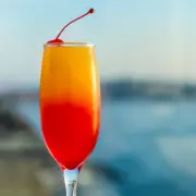 Dubai cocktail shock: Man left speechless by £14 drink mostly ice