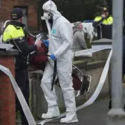 Dublin father and son found dead in suspected murder-suicide after earlier missing persons alert