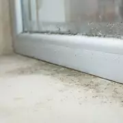 Expert's One Rule to Stop Window Condensation and Black Mould This Winter