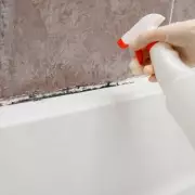 Experts Reveal the Best Way to Clean Shower Mould (It's Not Vinegar)