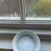 Expert's Simple Salt Bowl Trick to Stop Winter Mould and Condensation