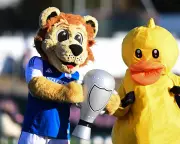 FA Cup Fourth Round Draw: Gerrard Hosts as Macclesfield Awaits Fate