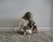 Family Court Crisis: Calls for Reform Amid 'Alienation' and Adversarial System Fears