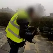 Family Reunited with Cat After Amazon Delivery Driver Theft in Yorkshire