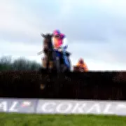 Ferry Cancellation Forces Haiti Couleurs to Miss Dublin Festival and Target Newbury