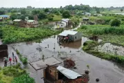 Floods Force Crocodiles into Mozambican Urban Areas Amid Health Crisis