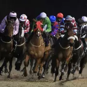 Flowstate Tipped for Wolverhampton Victory as Midnight Call Aims for Lingfield Hat-Trick