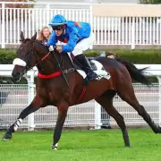 French Hurdler Theleme Withdrawn from Cheltenham's Festival Trials Day