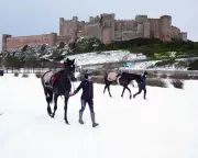 Frost Threatens Saturday Racing: Warwick and Kempton Face 8am Inspections