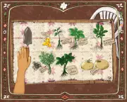 Gaza family's garden of resistance: Planting hope amid Israeli bombardment