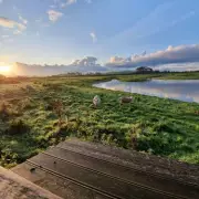 Glasson Dock: Lancashire's Hidden Harbour Village for Birdwatching & Walks