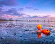 Guardian Readers' Stunning Photos: Icy Swims & Vibrant Lupins