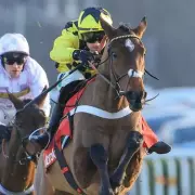Henderson and Skelton Preview Sir Gino vs The New Lion Cheltenham Clash