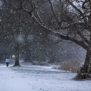 Heroic Father Saves Frozen Kitten During Snowy Family Walk