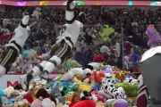 Hershey Bears' Annual 'Bear Toss' Sees 80,000 Stuffed Toys Rain Down on Ice Rink