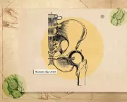 Hip Health Secrets: Why 7,000 Steps and 'Boring' Exercises Are Key