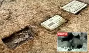 Historic US Civil War Cemetery Ravaged: 1,600 Graves Looted for Metal