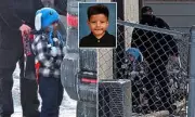 ICE Accused of Using Five-Year-Old as 'Bait' in Minnesota Immigration Operation