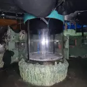 Inside the UK's First SeaLife Centre: Abandoned for Six Years with Tanks Still Full