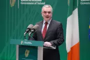 Irish Minister Urges Taoiseach to Accept White House Invitation Despite Greenland Tensions