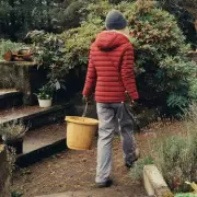 January Gardening: Expert Reveals Four Plants to Sow Now for Stronger Blooms