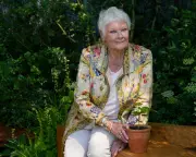 Judi Dench Champions London's Green Spaces Amid Development Threats