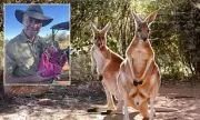Kangaroo Film Boosts Alice Springs Tourism with Sanctuary Setting
