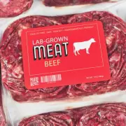 Kitchen Hack: Defrost Meat in 15 Minutes Using Two Pans - But Is It Safe?