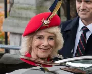 Labour MPs Urge Credit Union Expansion as Queen Camilla Backs Military Lenders