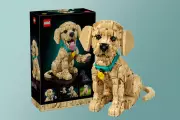 Lego's Golden Retriever Puppy Set: Pre-Orders Open for £130 Build