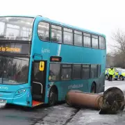 Liverpool bus skids on ice, crashes into historic Sefton Park pillar