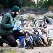 London Zoo's Big Freeze Count: 8,000 Animals Tallied in Annual Stocktake