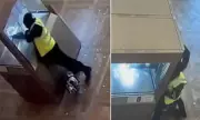 Louvre Heist: CCTV Shows £76m Jewellery Raid in Four Minutes