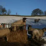 Low Bradfield: The Idyllic Yorkshire Village With a Tragic Victorian Flood Past