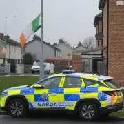 Man and 11-year-old boy found dead in suspected Dublin murder-suicide