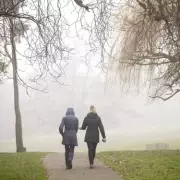 Menopause Coach Reveals 3 Simple 2026 Lifestyle Tweaks for Weight Loss