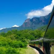 Mexico's El Chepe: The 90-Year Engineering Marvel That Created a 16-Hour Rail Adventure