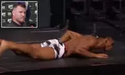 Michael Bisping's 'Not Hard' Weigh-In Comments Backfire as Fighter Collapses
