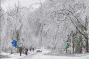 Mississippi's Historic Ice Storm Sparks Week-Long Recovery Crisis